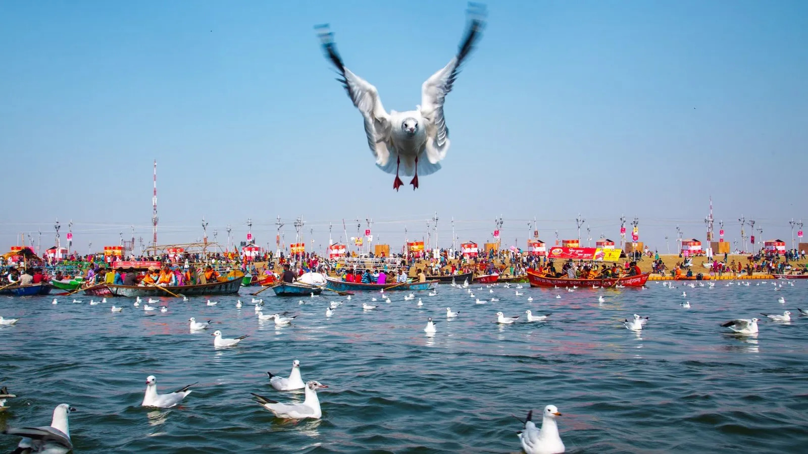 Triveni Sangam Boat Ride